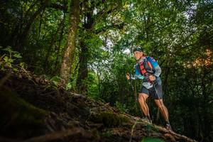 BIB: 3291
                            <button type="button" onclick="openModal(16016033)" class="btn btn-primary btn-sm float-right btn-popup" data-toggle="modal" data-target=".modal-high-quality">
                        <i class="fas fa-shopping-cart"></i> Add to Cart
                    </button>
                                            <button type="button" onclick="isThisMe(16016033, true)" class="btn btn-success btn-sm float-right btn-popup btn-isme hidden" data-toggle="tooltip" data-placement="bottom" title="นี่คือรูปของคุณใช่ไหม คลิกที่นี่เพื่อเอาเข้าอัลบั้ม">
                        <i class="fas fa-plus"></i> Add to album
                    </button>
                    <button type="button" onclick="isThisMe(16016033, false)" class="btn btn-warning btn-sm float-right btn-popup btn-isnotme hidden">
                        <i class="fas fa-ban"></i> Remove from album
                    </button>